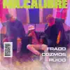 Fradd, Cozmos & Ruido - Mister Calibre - Single